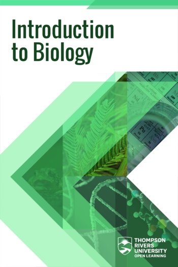 Cover image for Introduction to Biology